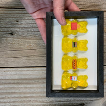 Load image into Gallery viewer, Gummy Bears - Foodie Bears
